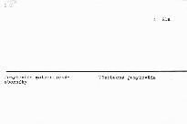 The Prague Bulletin of Mathematical Ling