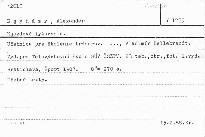 Zjazdov&eacute; lyžvanie