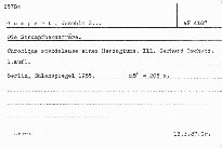 Die Strumpfbandaffäre