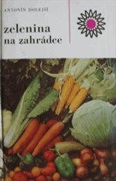 Zelenina na zahrádce