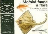 Mořská fauna a flóra