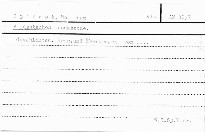 Altdeutsches decamerone