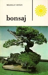 Bonsaj