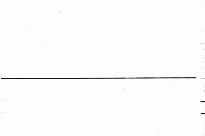 Kachna divok&aacute;