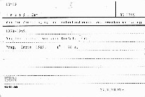 Von der Zerschlagung der Tschechoslowakei zum zweiten Weltkrieg 1938-1945