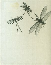 Insekten