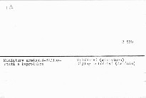 Armjanskaja miniaťura.