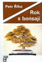 Rok s bonsají