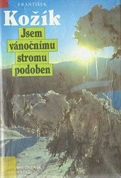 Jsem vánočnímu stromu podoben