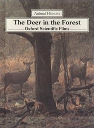 The Deer in the Forest