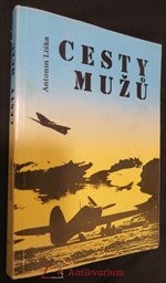 Cesty mužů