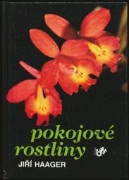 Pokojové rostliny