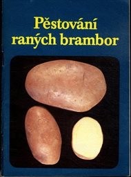 Pěstování raných brambor