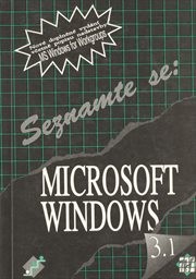 Microsoft Windows 3.1 for Workgroups