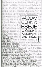 Eseje o české a slovenské próze