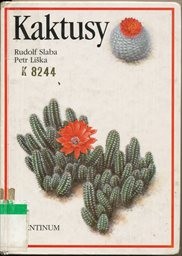Kaktusy