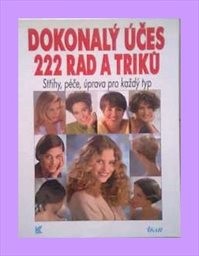 Dokonalý účes - 222 rad a triků