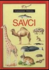 Savci