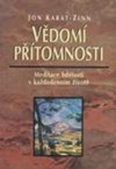 Vědomí přítomnosti