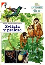 Zvířata v pralese