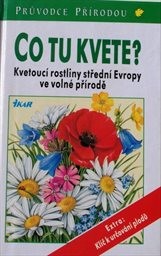 Co tu kvete?