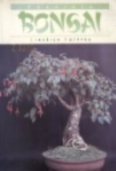 Pokojová bonsai