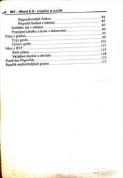 MS Word 6 pro Windows