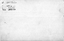 Rok na jihu