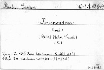 Korespondence