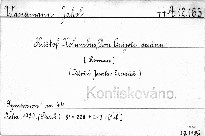Kryštof Kolumbus, Don Quijote oceánu