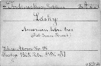 Lásky