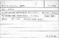 Foxl-Voříšek.