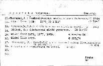Sjednocení mladé generace