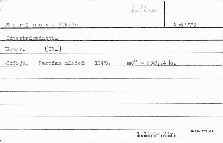 Interbrigadisti.