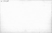 Die gotischen Schriftarten