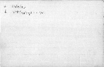 Geist und Antlitz der Renaissance