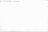 Revise hyolitů z vrstev dGAMA