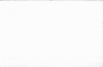 Eine Bibliothek der Weltliteratur