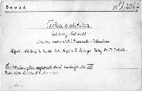 Česká politika.(D.II.č.2)