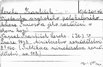 Výstavba anglického polokrevného kmene Furios