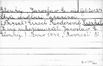 Čtyři soudruzi Papaninci