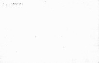 Das grosse Protokoll gegen Zwetschkenbaum