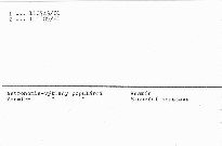 V labyrinte hviezd