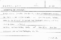 Nachmittag im Dschungel.