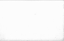 Cesta bílým tichem