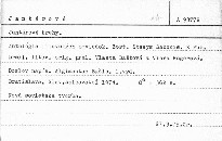Jantárové brehy