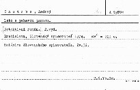 Leto s pehavou pannou