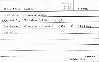 Dlhá biela prerušovaná čiara