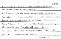 Dobrodružný Simplicius Simplicissimus.
