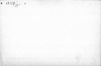 Die graue Stadt - die lichten Frauen